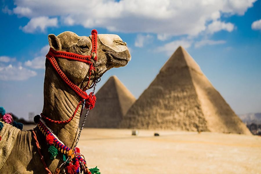 05 Nits – 06 days  Cairo, Luxor, Edfu, Kom Ombo, Aswan and Abu Simbel