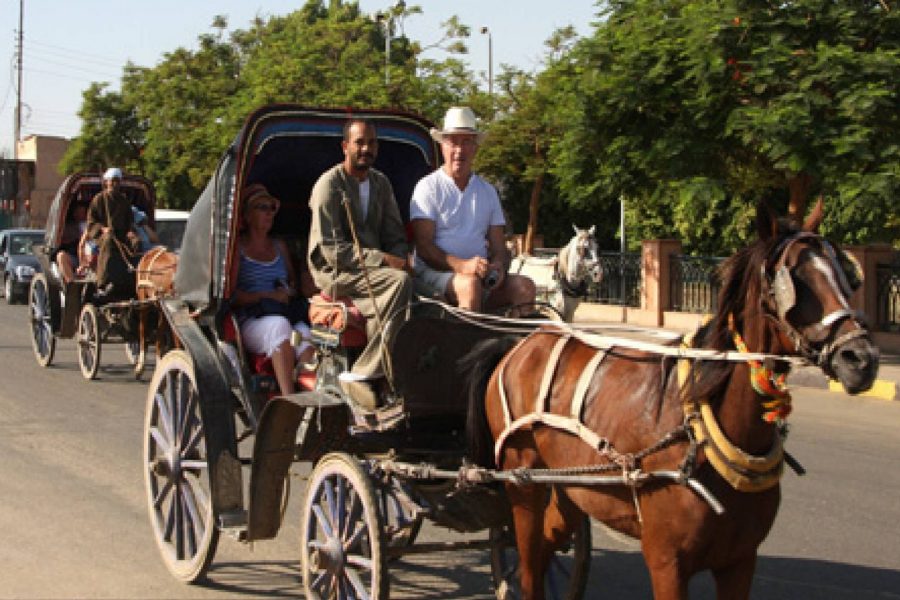 Luxor City tour by Horse Carriage